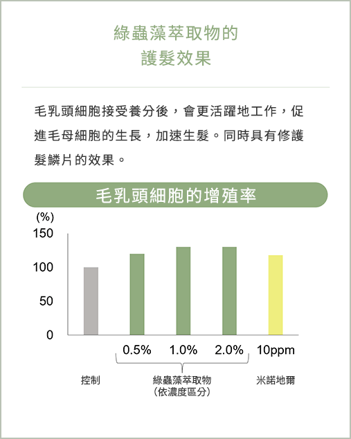 綠蟲藻萃取物的護髮效果