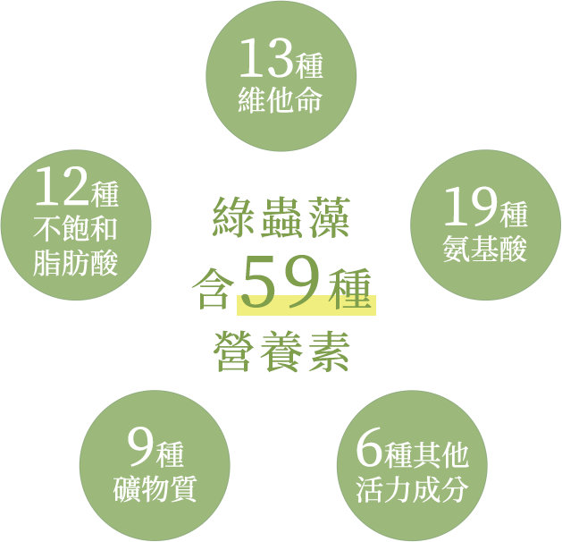 綠蟲藻含59種營養素