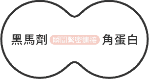 與髮絲主要成分角蛋白結合