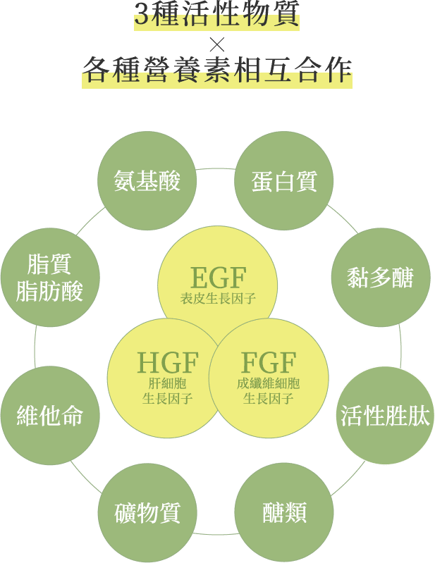 3種活性物質 X 各種營養素相互合作